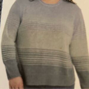 Ella Moss Women's Crewneck Long Sleeve Sweater, Blue Stripe, XXL, NWT